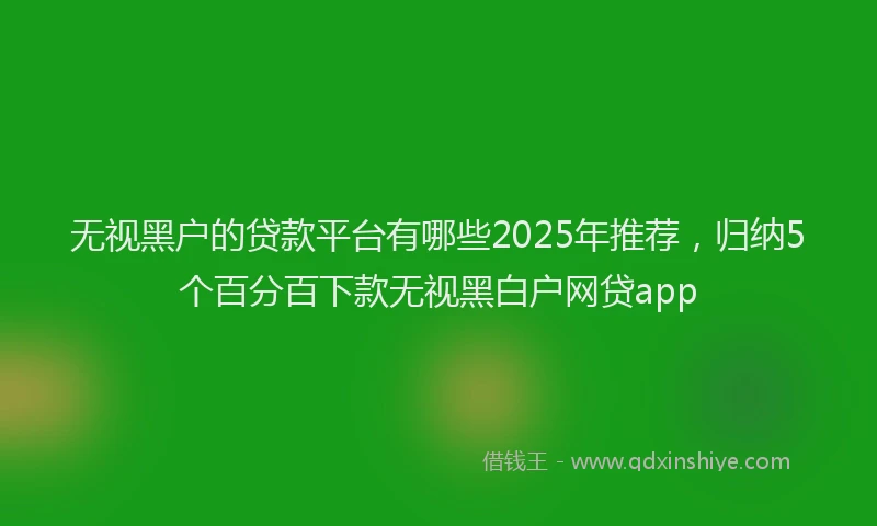 无视黑户的贷款平台有哪些2025年推荐，归纳5个百分百下款无视黑白户网贷app