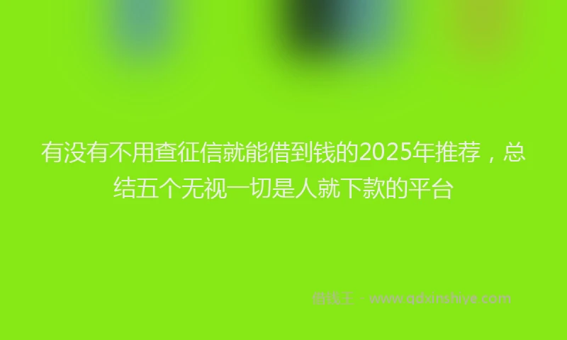 有没有不用查征信就能借到钱的2025年推荐，总结五个无视一切是人就下款的平台