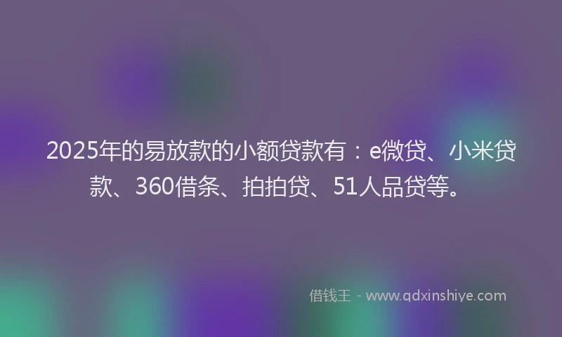 2025年的易放款的小额贷款有：e微贷、小米贷款、360借条、拍拍贷、51人品贷等。