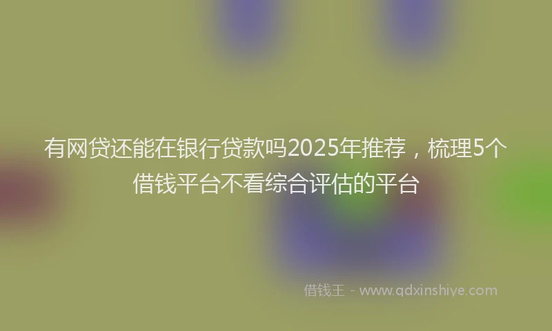 有网贷还能在银行贷款吗2025年推荐，梳理5个借钱平台不看综合评估的平台