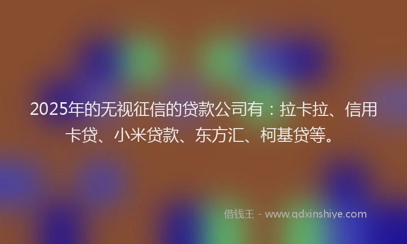 2025年的无视征信的贷款公司有：拉卡拉、信用卡贷、小米贷款、东方汇、柯基贷等。