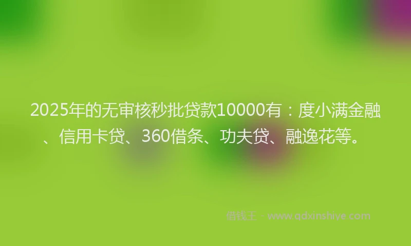 2025年的无审核秒批贷款10000有：度小满金融、信用卡贷、360借条、功夫贷、融逸花等。