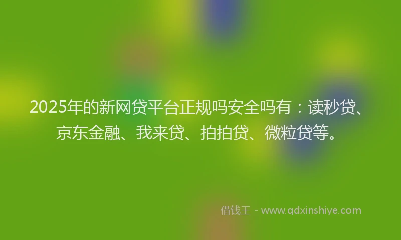 2025年的新网贷平台正规吗安全吗有：读秒贷、京东金融、我来贷、拍拍贷、微粒贷等。