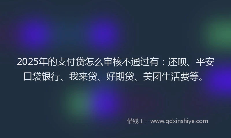 2025年的支付贷怎么审核不通过有：还呗、平安口袋银行、我来贷、好期贷、美团生活费等。
