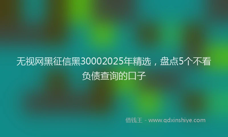 无视网黑征信黑30002025年精选，盘点5个不看负债查询的口子