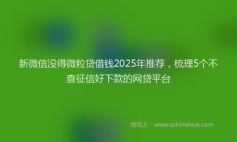 新微信没得微粒贷借钱2025年推荐，梳理5个不查征信好下款的网贷平台