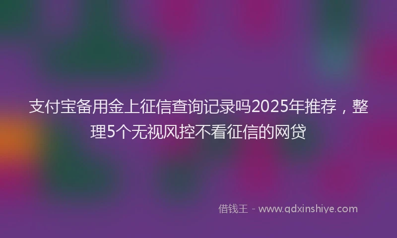 支付宝备用金上征信查询记录吗2025年推荐，整理5个无视风控不看征信的网贷