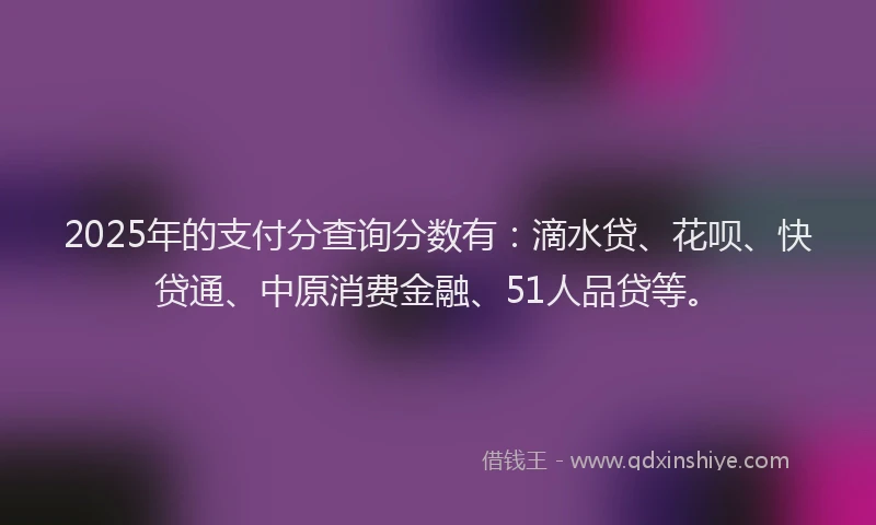 2025年的支付分查询分数有：滴水贷、花呗、快贷通、中原消费金融、51人品贷等。