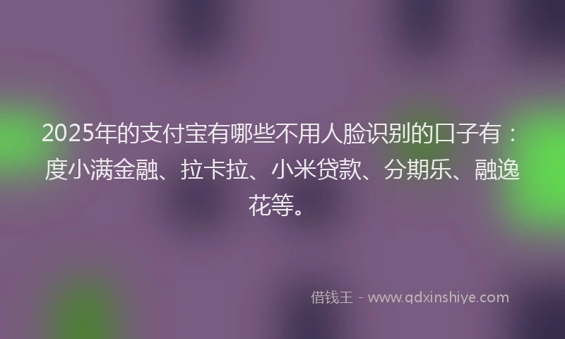 2025年的支付宝有哪些不用人脸识别的口子有：度小满金融、拉卡拉、小米贷款、分期乐、融逸花等。