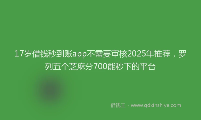 17岁借钱秒到账app不需要审核2025年推荐，罗列五个芝麻分700能秒下的平台