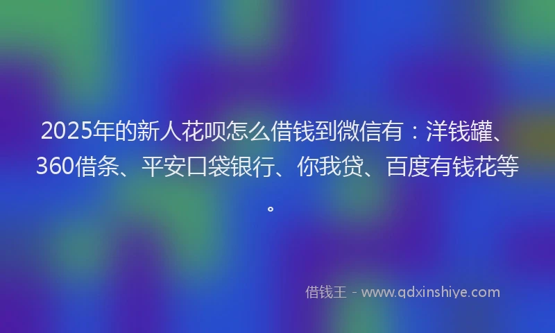 2025年的新人花呗怎么借钱到微信有：洋钱罐、360借条、平安口袋银行、你我贷、百度有钱花等。