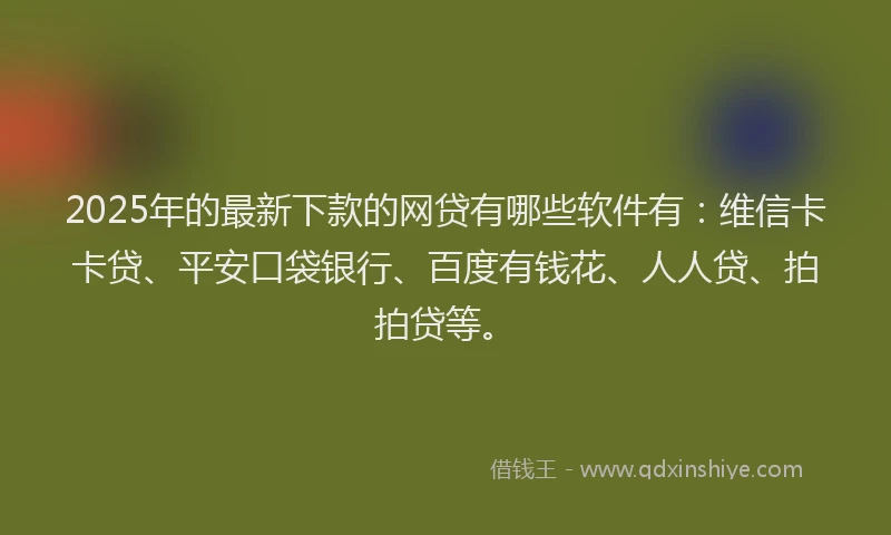 2025年的最新下款的网贷有哪些软件有：维信卡卡贷、平安口袋银行、百度有钱花、人人贷、拍拍贷等。
