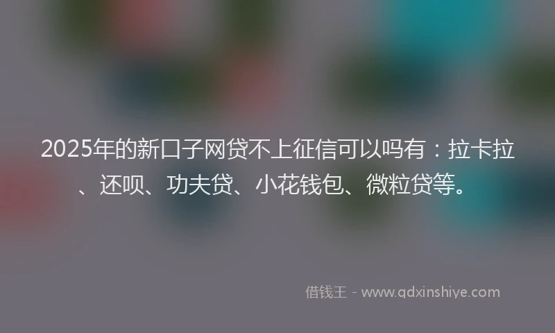 2025年的新口子网贷不上征信可以吗有：拉卡拉、还呗、功夫贷、小花钱包、微粒贷等。