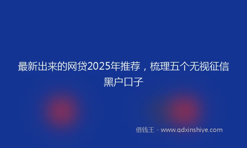 最新出来的网贷2025年推荐，梳理五个无视征信黑户口子
