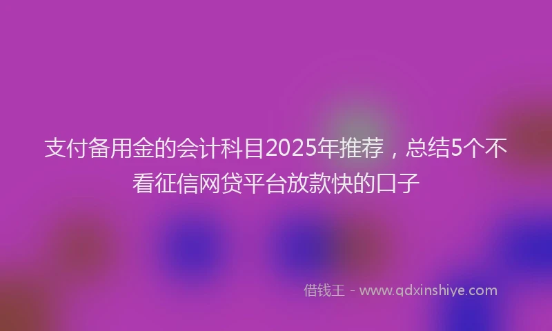 支付备用金的会计科目2025年推荐，总结5个不看征信网贷平台放款快的口子