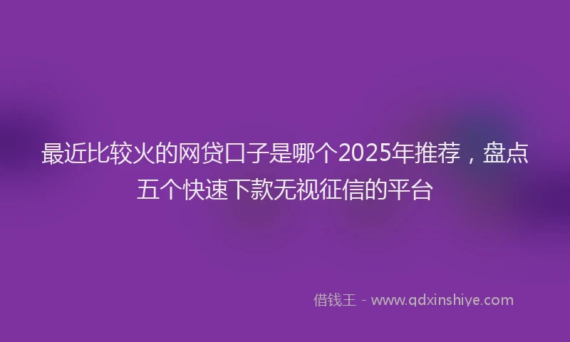 最近比较火的网贷口子是哪个2025年推荐，盘点五个快速下款无视征信的平台