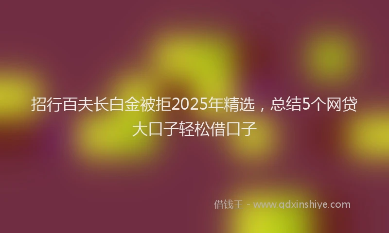 招行百夫长白金被拒2025年精选，总结5个网贷大口子轻松借口子