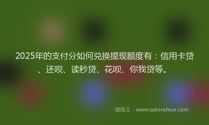 2025年的支付分如何兑换提现额度有：信用卡贷、还呗、读秒贷、花呗、你我贷等。