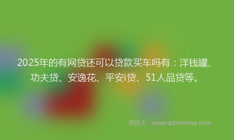 2025年的有网贷还可以贷款买车吗有：洋钱罐、功夫贷、安逸花、平安i贷、51人品贷等。