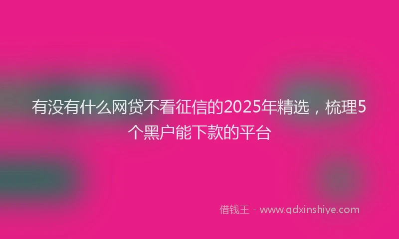 有没有什么网贷不看征信的2025年精选，梳理5个黑户能下款的平台