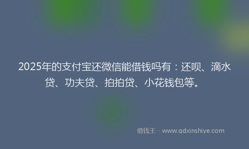 2025年的支付宝还微信能借钱吗有：还呗、滴水贷、功夫贷、拍拍贷、小花钱包等。