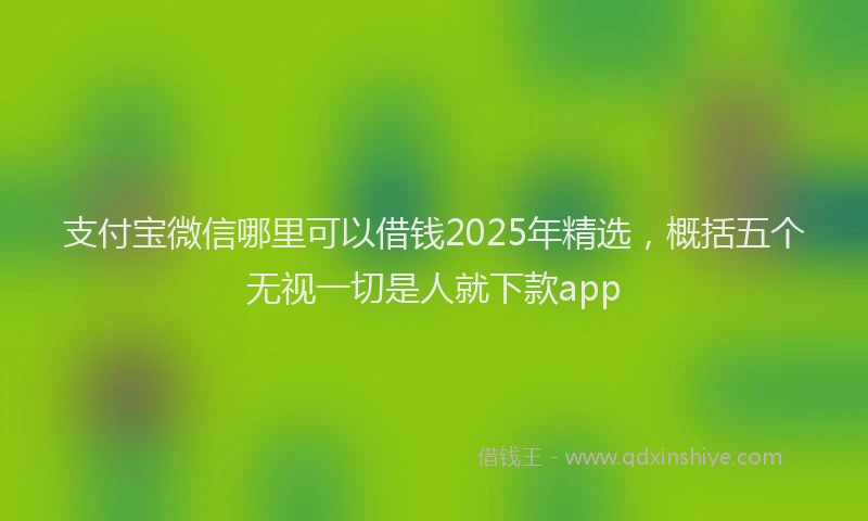 支付宝微信哪里可以借钱2025年精选，概括五个无视一切是人就下款app
