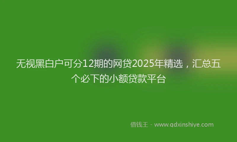 无视黑白户可分12期的网贷2025年精选，汇总五个必下的小额贷款平台