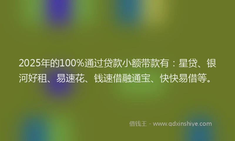 2025年的100%通过贷款小额带款有：星贷、银河好租、易速花、钱速借融通宝、快快易借等。