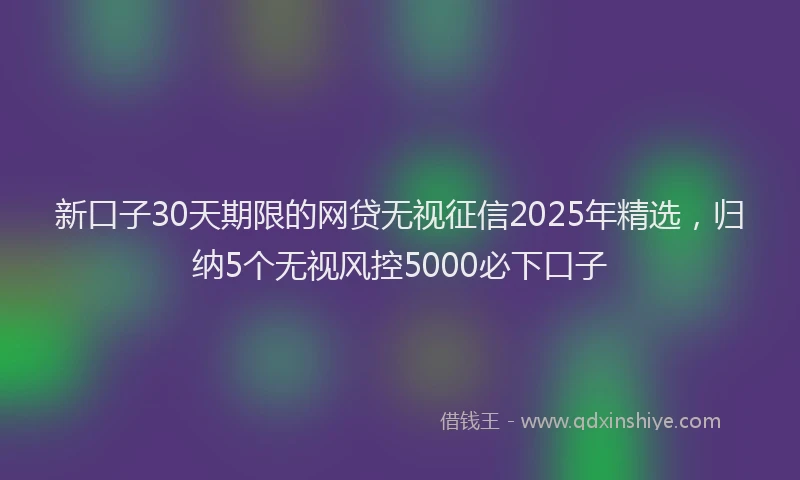 新口子30天期限的网贷无视征信2025年精选，归纳5个无视风控5000必下口子