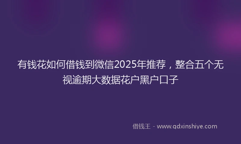 有钱花如何借钱到微信2025年推荐，整合五个无视逾期大数据花户黑户口子