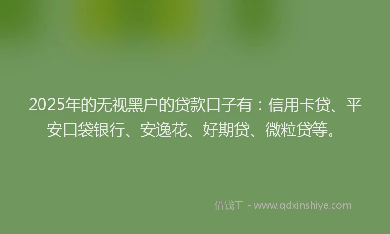 2025年的无视黑户的贷款口子有：信用卡贷、平安口袋银行、安逸花、好期贷、微粒贷等。