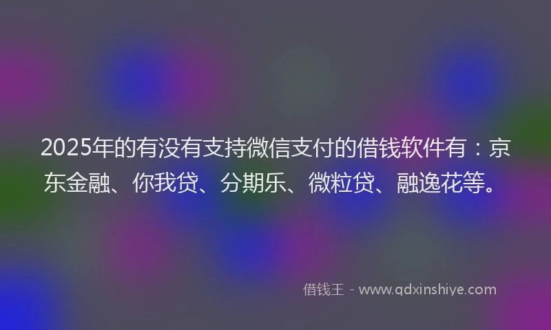 2025年的有没有支持微信支付的借钱软件有：京东金融、你我贷、分期乐、微粒贷、融逸花等。