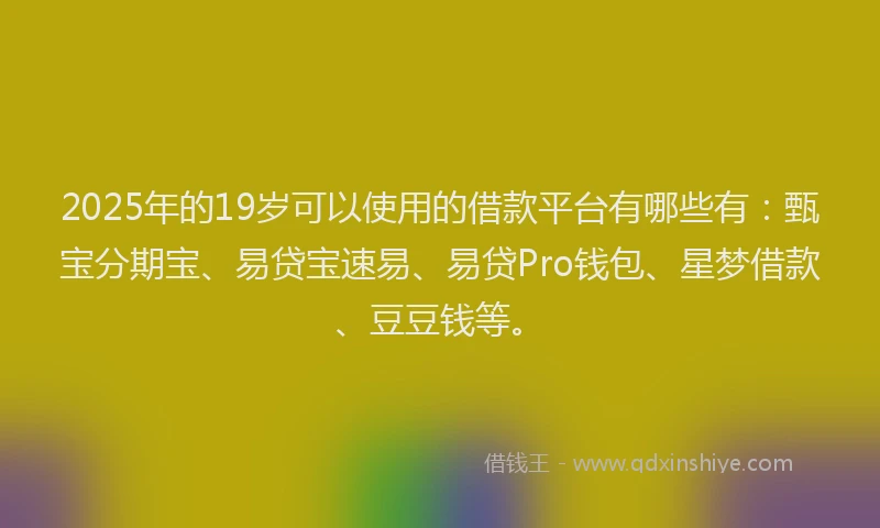 2025年的19岁可以使用的借款平台有哪些有：甄宝分期宝、易贷宝速易、易贷Pro钱包、星梦借款、豆豆钱等。