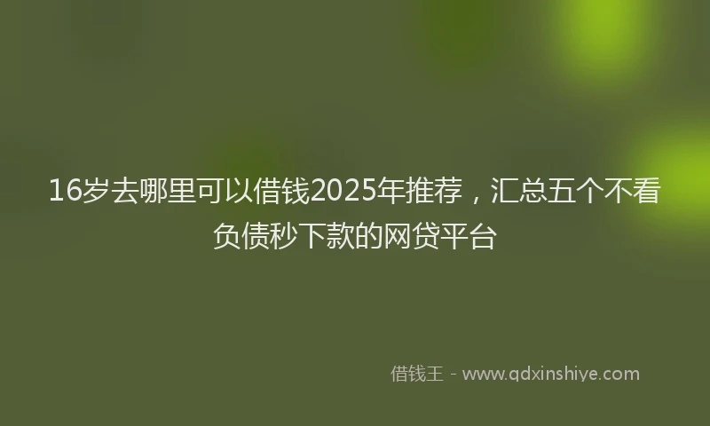 16岁去哪里可以借钱2025年推荐，汇总五个不看负债秒下款的网贷平台