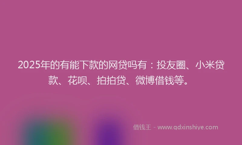 2025年的有能下款的网贷吗有：投友圈、小米贷款、花呗、拍拍贷、微博借钱等。