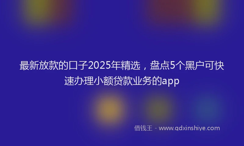 最新放款的口子2025年精选，盘点5个黑户可快速办理小额贷款业务的app
