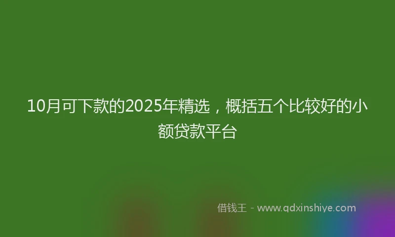 10月可下款的2025年精选，概括五个比较好的小额贷款平台