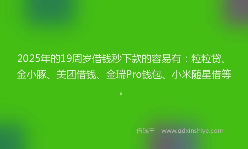 2025年的19周岁借钱秒下款的容易有:粒粒贷、金小豚、美团借钱、金瑞Pro钱包、小米随星借等。