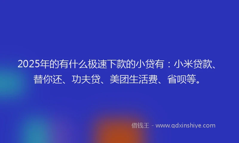 2025年的有什么极速下款的小贷有：小米贷款、替你还、功夫贷、美团生活费、省呗等。