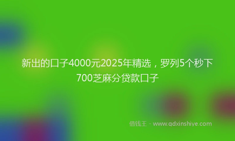 新出的口子4000元2025年精选，罗列5个秒下700芝麻分贷款口子