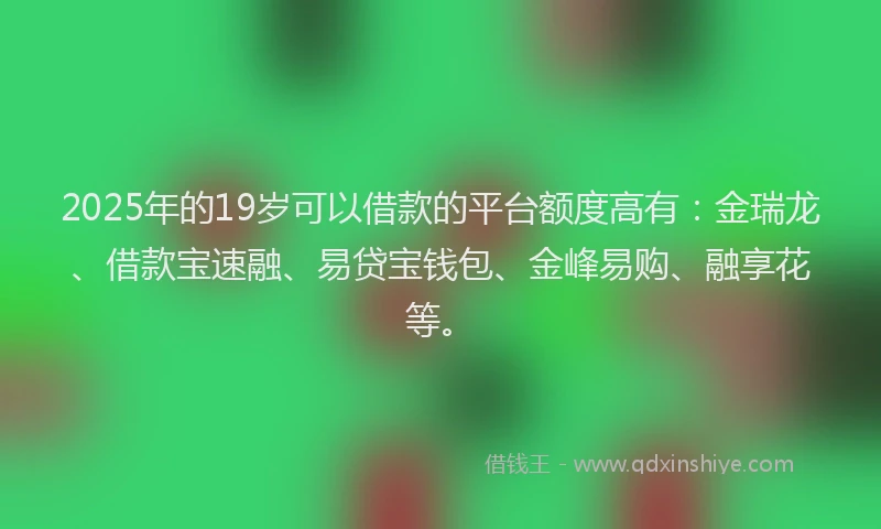 2025年的19岁可以借款的平台额度高有：金瑞龙、借款宝速融、易贷宝钱包、金峰易购、融享花等。