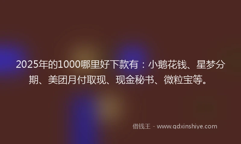 2025年的1000哪里好下款有：小鹅花钱、星梦分期、美团月付取现、现金秘书、微粒宝等。