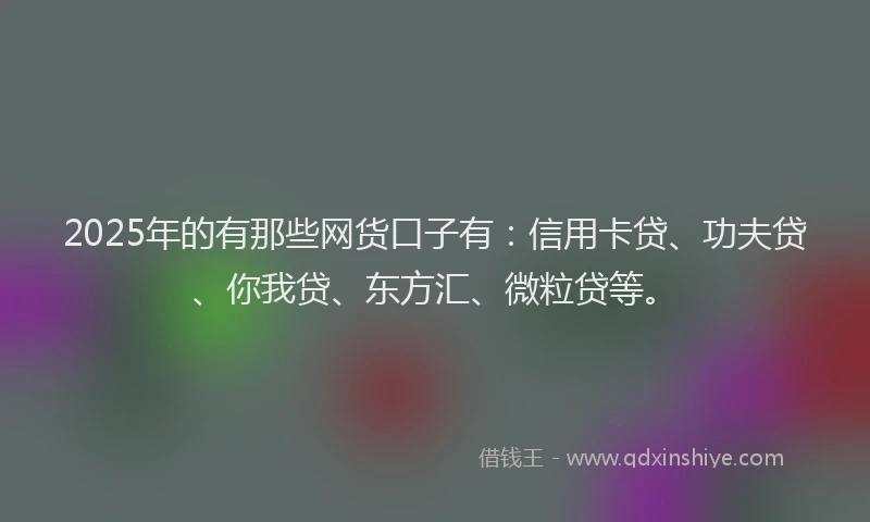 2025年的有那些网货口子有：信用卡贷、功夫贷、你我贷、东方汇、微粒贷等。