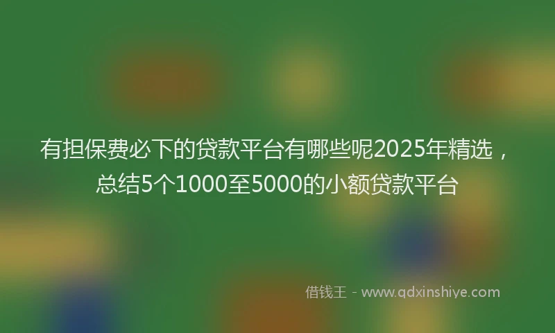 有担保费必下的贷款平台有哪些呢2025年精选，总结5个1000至5000的小额贷款平台
