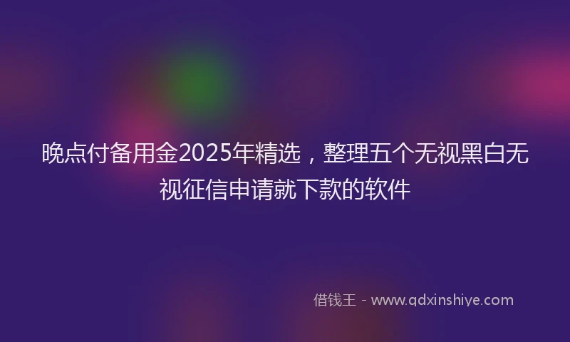 晚点付备用金2025年精选，整理五个无视黑白无视征信申请就下款的软件