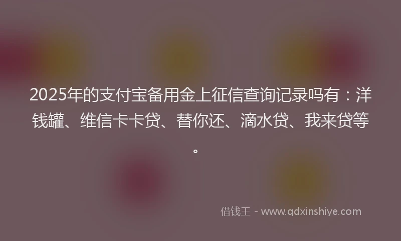 2025年的支付宝备用金上征信查询记录吗有：洋钱罐、维信卡卡贷、替你还、滴水贷、我来贷等。