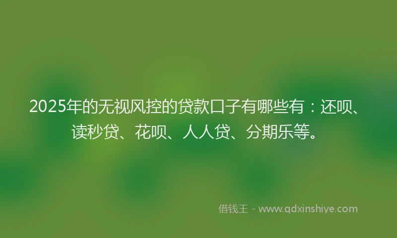 2025年的无视风控的贷款口子有哪些有：还呗、读秒贷、花呗、人人贷、分期乐等。