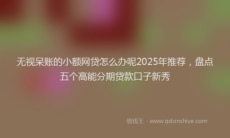 无视呆账的小额网贷怎么办呢2025年推荐，盘点五个高能分期贷款口子新秀