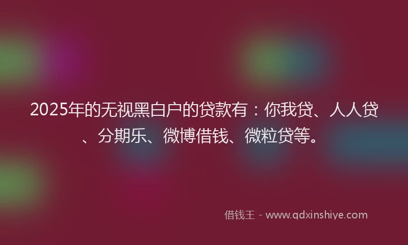 2025年的无视黑白户的贷款有：你我贷、人人贷、分期乐、微博借钱、微粒贷等。