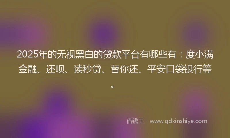 2025年的无视黑白的贷款平台有哪些有：度小满金融、还呗、读秒贷、替你还、平安口袋银行等。